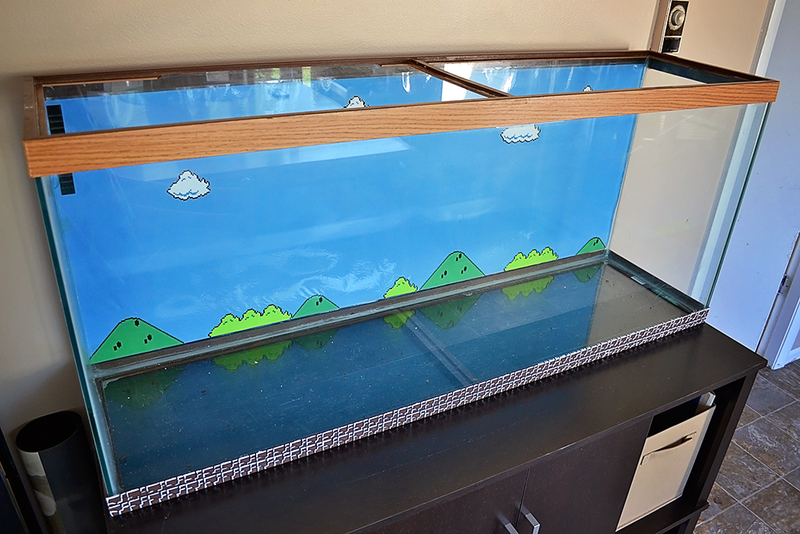 Illustration for article titled Watch A Super Mario Bros. Aquarium Get Built From Scratch